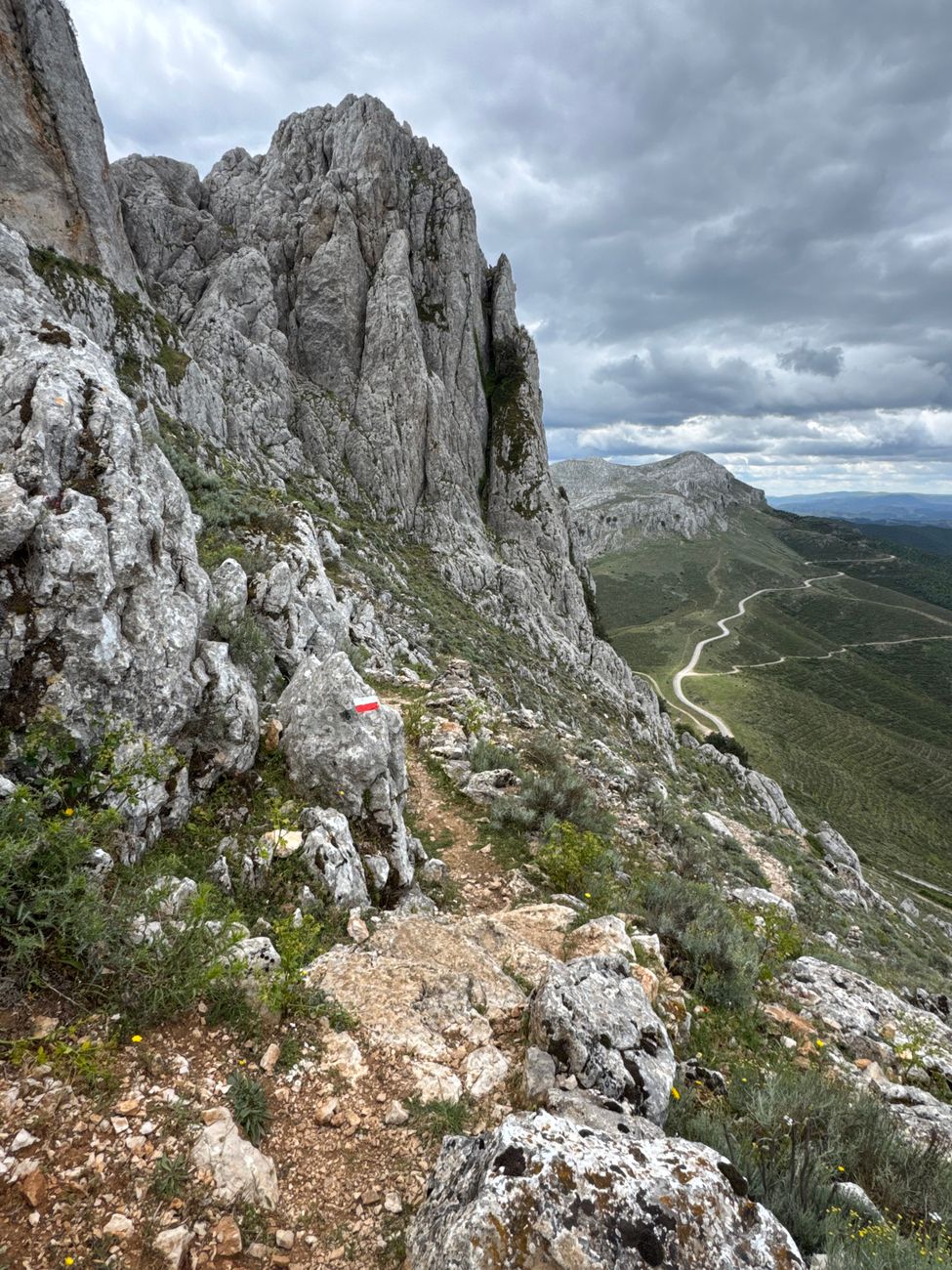 Alpine meadow overlooking towering limestone cliffs